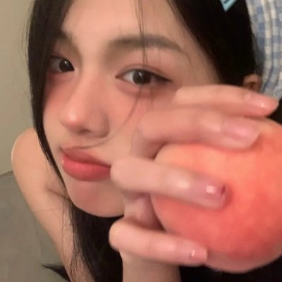 露营者日记封面